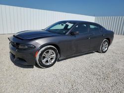 Salvage cars for sale at Arcadia, FL auction: 2022 Dodge Charger SXT