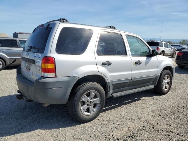 2005 Ford Escape XLT