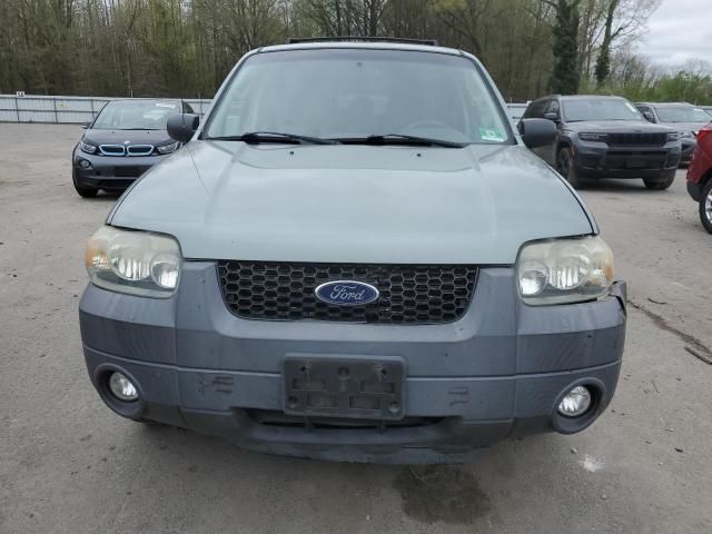 2007 Ford Escape XLT