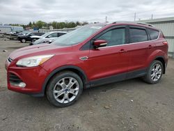 Salvage cars for sale from Copart Pennsburg, PA: 2014 Ford Escape Titanium