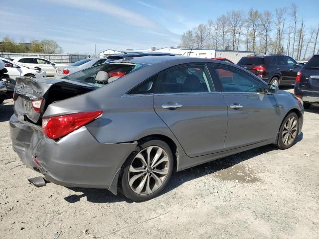 2013 Hyundai Sonata SE