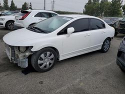 Honda Civic LX Vehiculos salvage en venta: 2010 Honda Civic LX