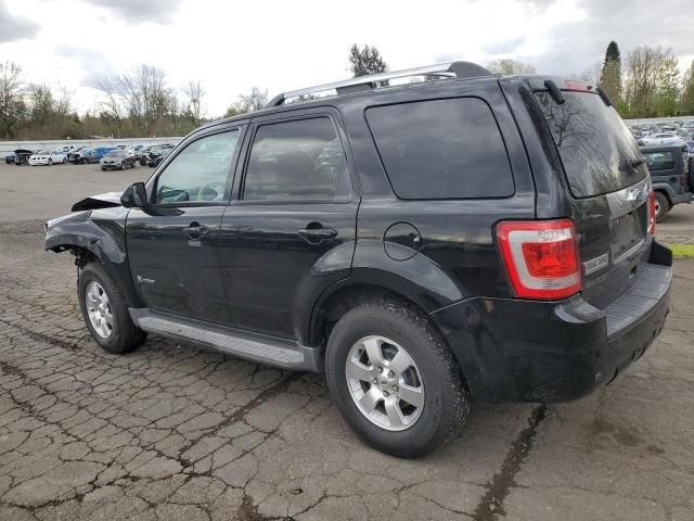 2010 Ford Escape Hybrid