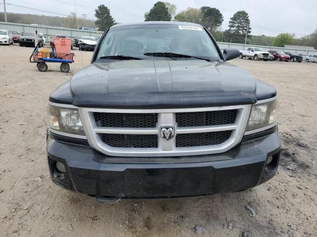 2010 Dodge Dakota TRX