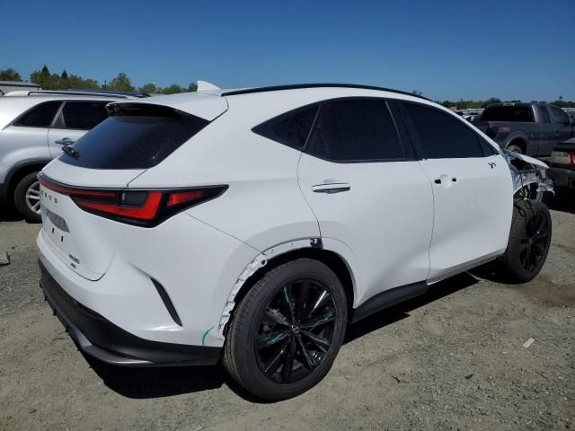 2024 Lexus NX 350 Luxury