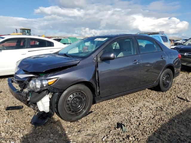 2011 Toyota Corolla Base