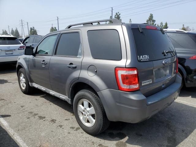 2010 Ford Escape XLT