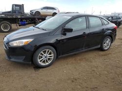 Salvage cars for sale at Brighton, CO auction: 2018 Ford Focus SE