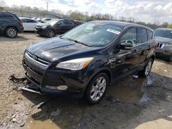 Salvage cars for sale at Louisville, KY auction: 2013 Ford Escape SEL