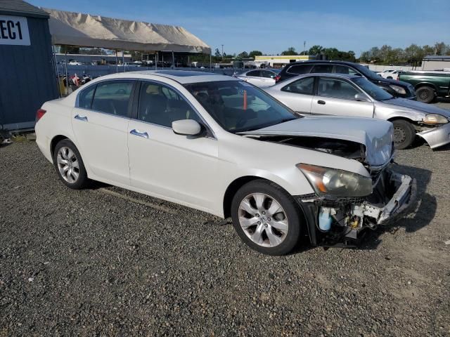 2009 Honda Accord EXL