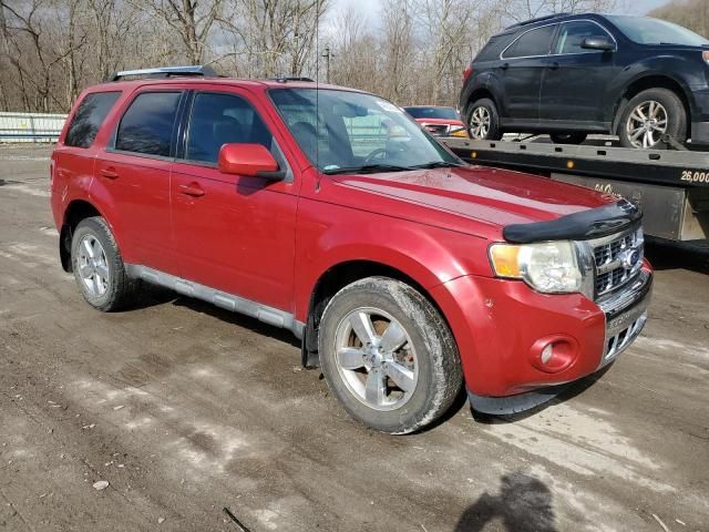 2010 Ford Escape Limited