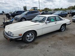 Salvage cars for sale at Miami, FL auction: 1986 Jaguar XJS