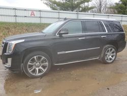 Salvage cars for sale at Davison, MI auction: 2016 Cadillac Escalade Luxury