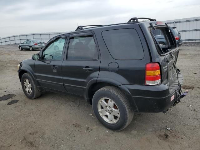 2007 Ford Escape Limited