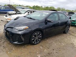 Salvage cars for sale from Copart Louisville, KY: 2017 Toyota Corolla L