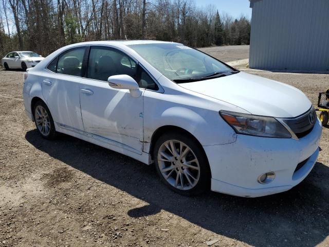 2010 Lexus HS 250H