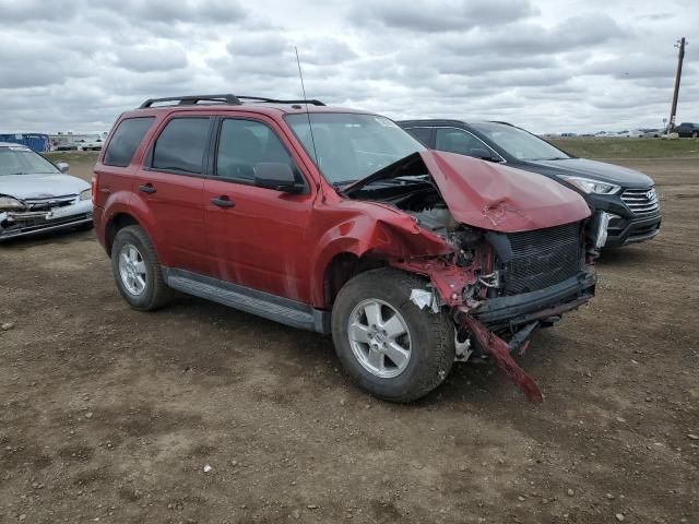 2012 Ford Escape XLT