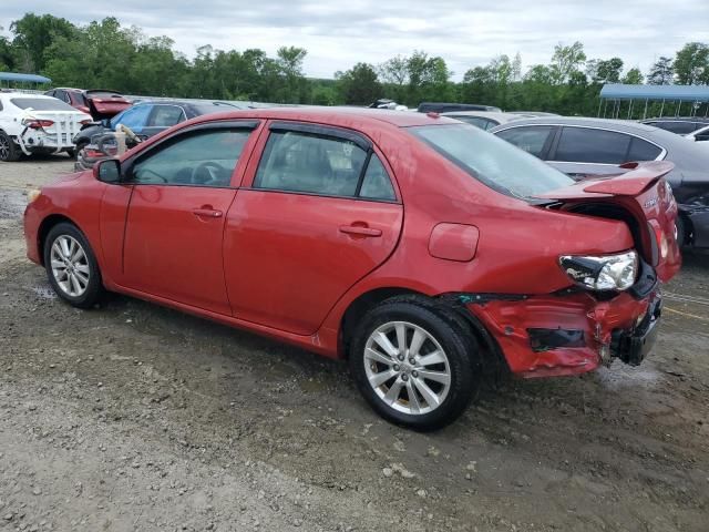 2010 Toyota Corolla Base