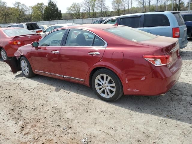 2010 Lexus ES 350