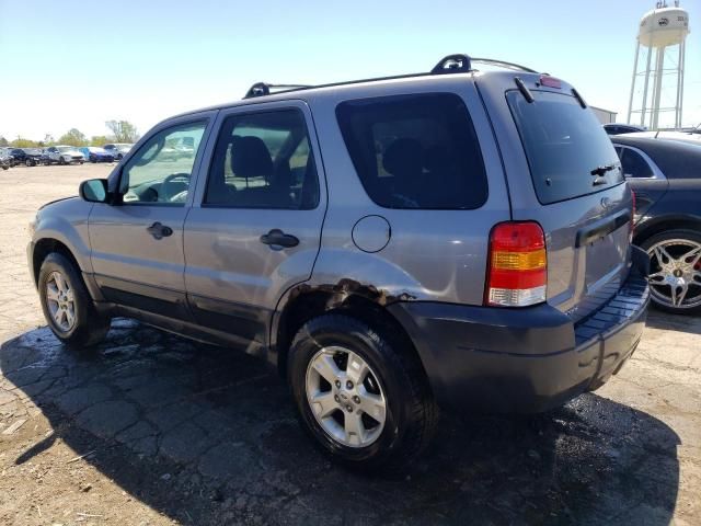 2007 Ford Escape XLT