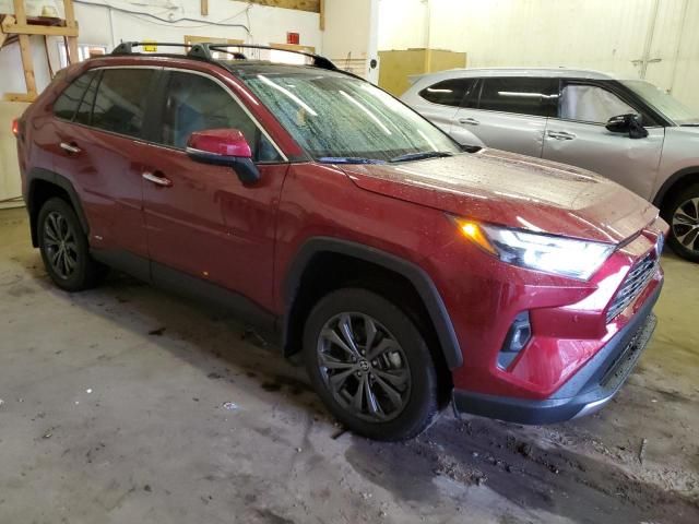 2024 Toyota Rav4 Limited