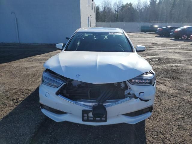 2019 Acura TLX Advance