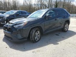 Salvage cars for sale from Copart Glassboro, NJ: 2022 Toyota Rav4 XLE