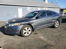 Honda Crosstour salvage cars for sale: 2012 Honda Crosstour EXL