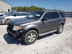Salvage cars for sale at Lawrenceburg, KY auction: 2011 Ford Escape XLT