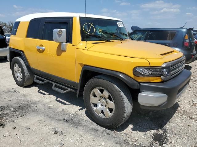 2007 Toyota FJ Cruiser