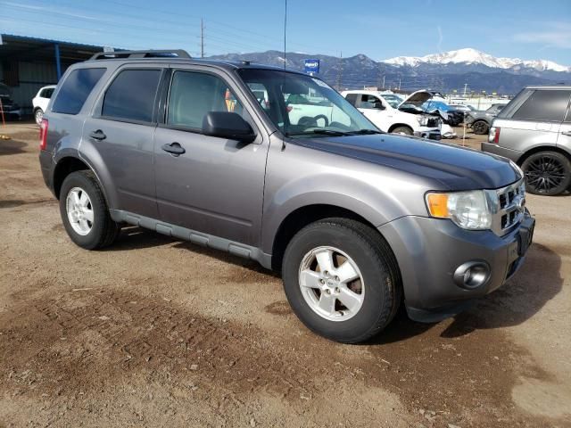 2010 Ford Escape XLT