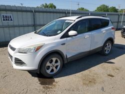 Ford Escape SE salvage cars for sale: 2014 Ford Escape SE