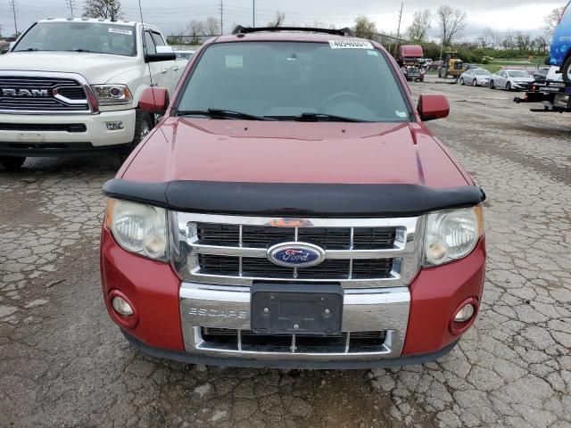 2011 Ford Escape Limited