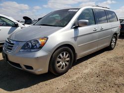 Salvage cars for sale at Elgin, IL auction: 2009 Honda Odyssey EXL