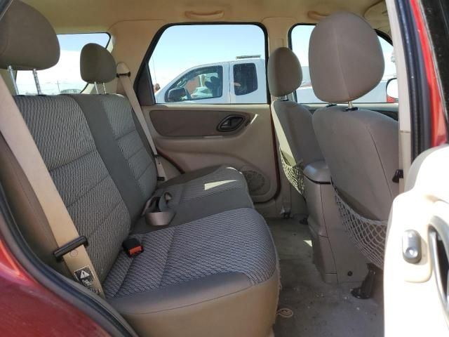 2004 Ford Escape XLT