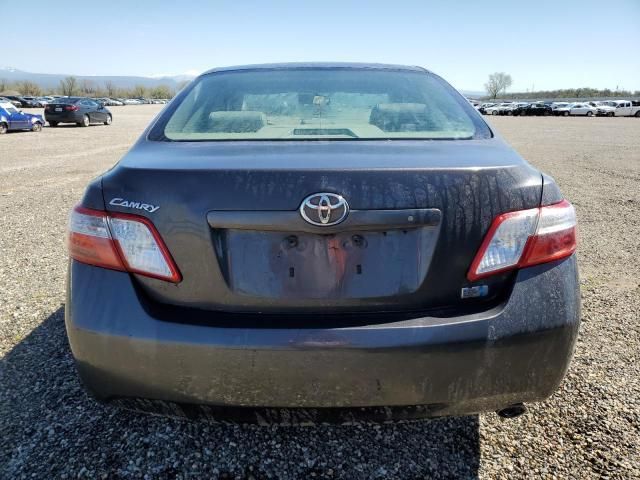 2009 Toyota Camry Hybrid