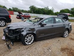 Ford Fusion SE salvage cars for sale: 2019 Ford Fusion SE