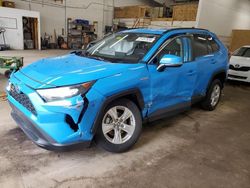 Salvage cars for sale from Copart Ham Lake, MN: 2021 Toyota Rav4 LE