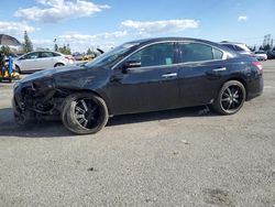 Salvage cars for sale from Copart Rancho Cucamonga, CA: 2011 Nissan Maxima S