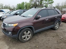 KIA salvage cars for sale: 2013 KIA Sorento EX