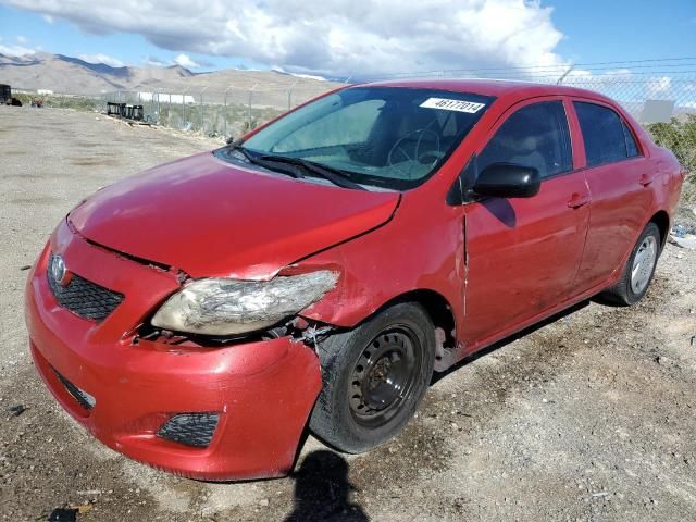 2010 Toyota Corolla Base