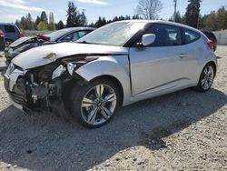 Salvage cars for sale at Graham, WA auction: 2017 Hyundai Veloster