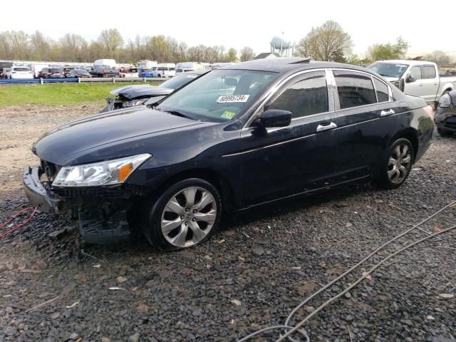 2008 Honda Accord EXL