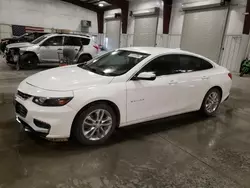 Salvage cars for sale at Avon, MN auction: 2017 Chevrolet Malibu LT