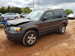 Salvage cars for sale at China Grove, NC auction: 2006 Ford Escape XLT
