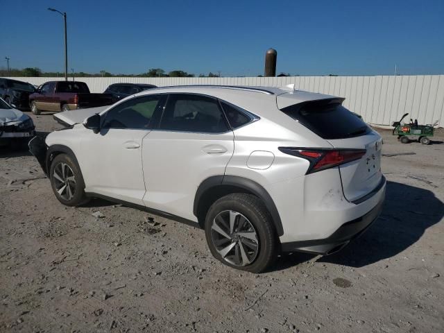 2020 Lexus NX 300