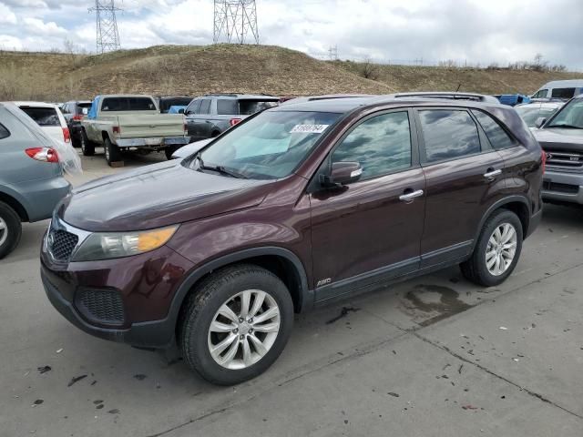 2011 KIA Sorento Base