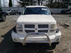 2010 Dodge Nitro Heat