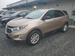 Salvage cars for sale from Copart Gastonia, NC: 2019 Chevrolet Equinox LS