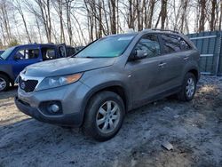 Vehiculos salvage en venta de Copart Candia, NH: 2011 KIA Sorento Base